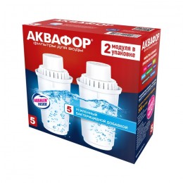 Сменный модуль В5 (В100-5) защита от бактерий (комплект из 2-х штук) в Иркутске